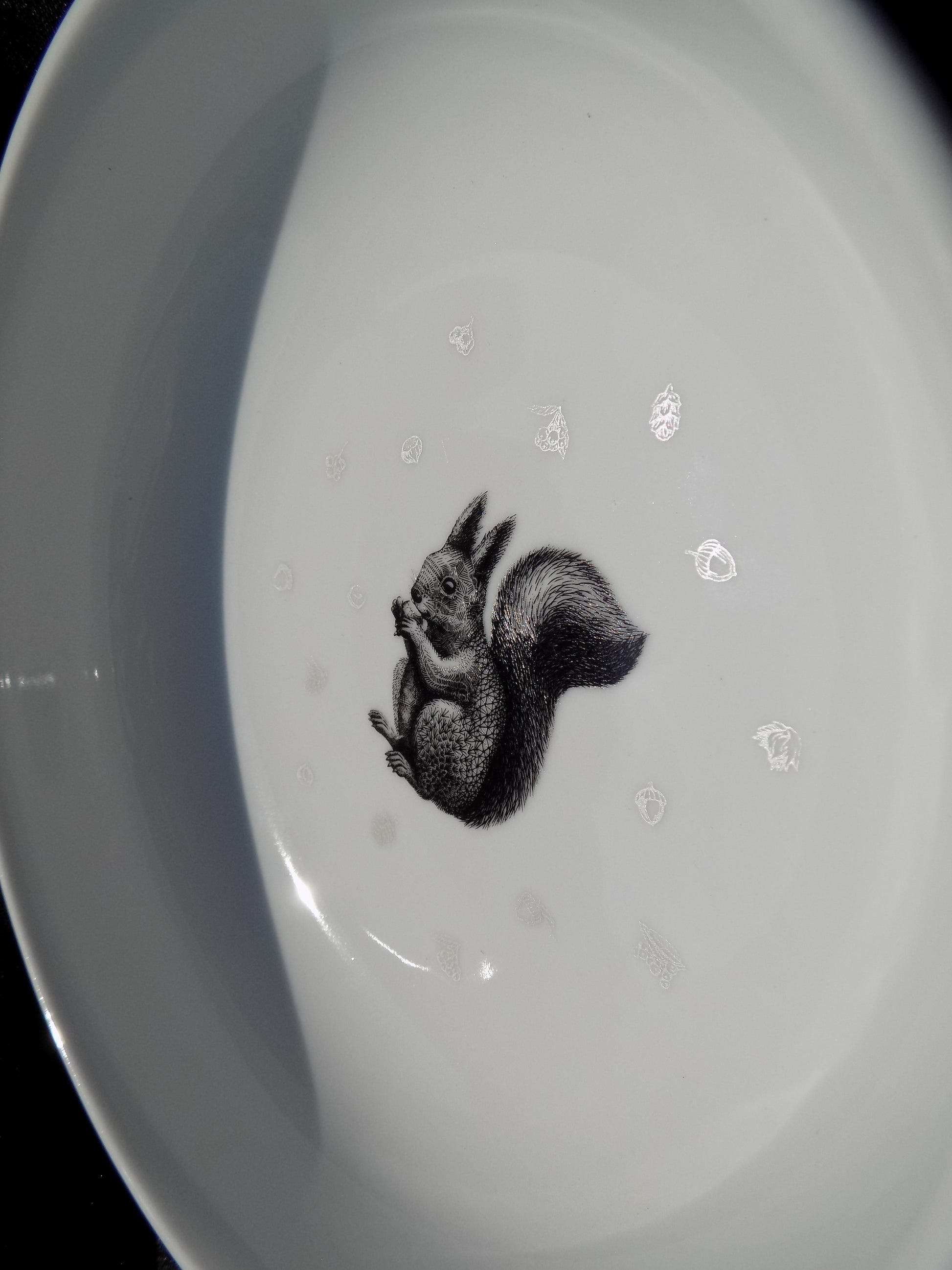 miseczka śniadaniowy z nadrukiem wiewiórki