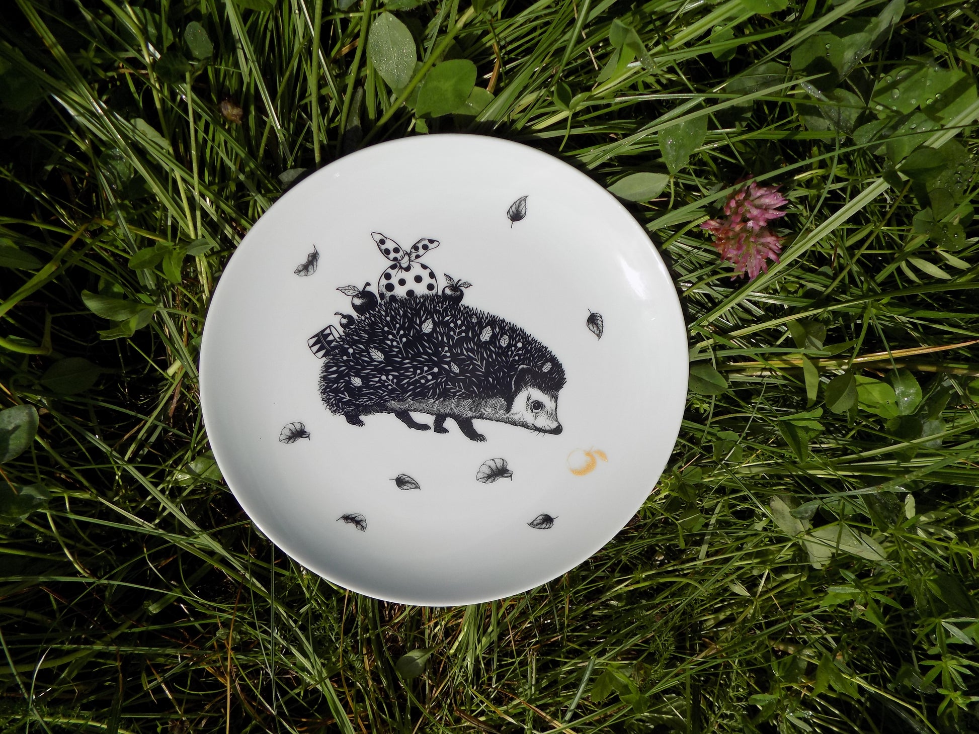 obiadowy talerz z jeżem i jabłkiem