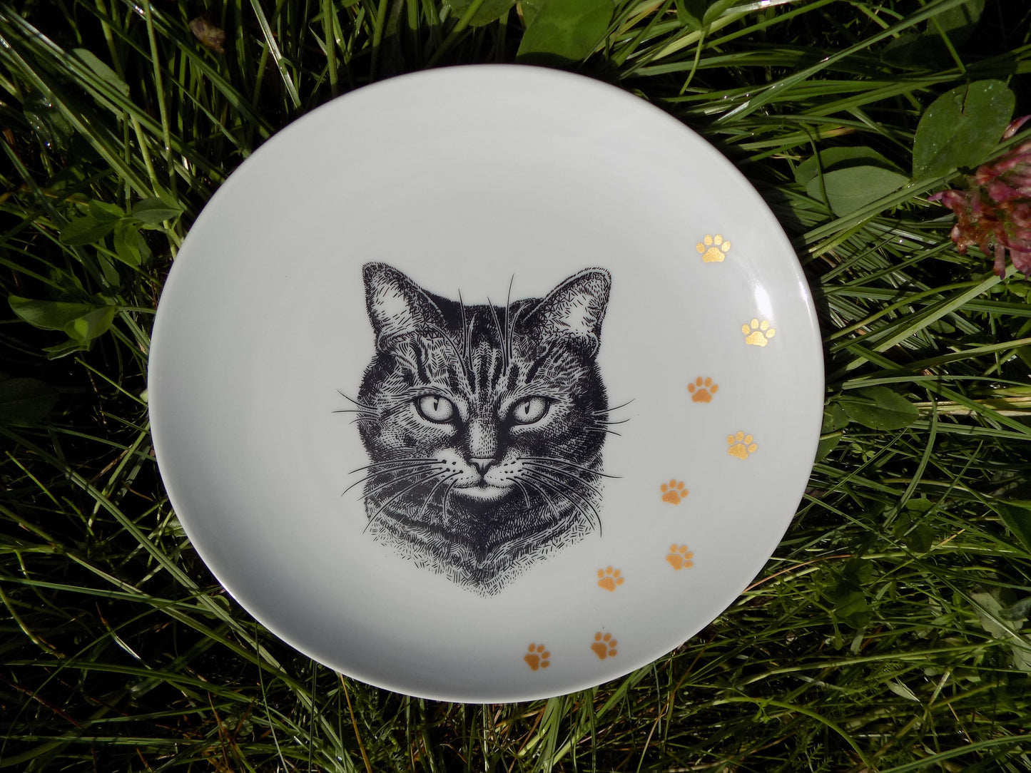 talerz porcelanowy z kotem