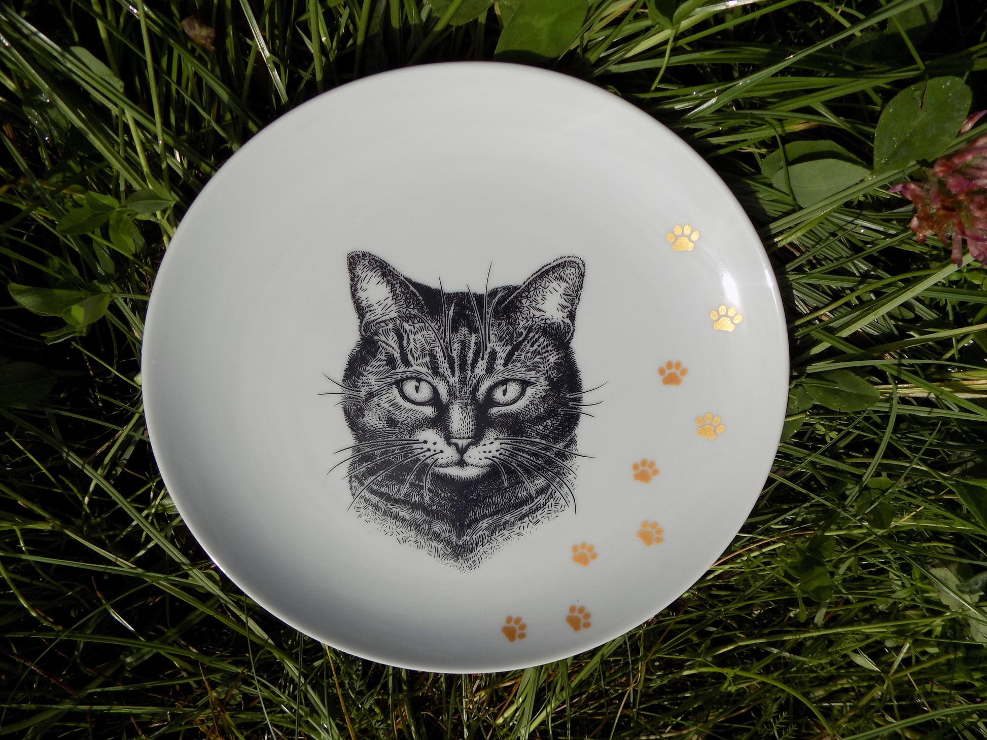 talerz porcelanowy z kotem