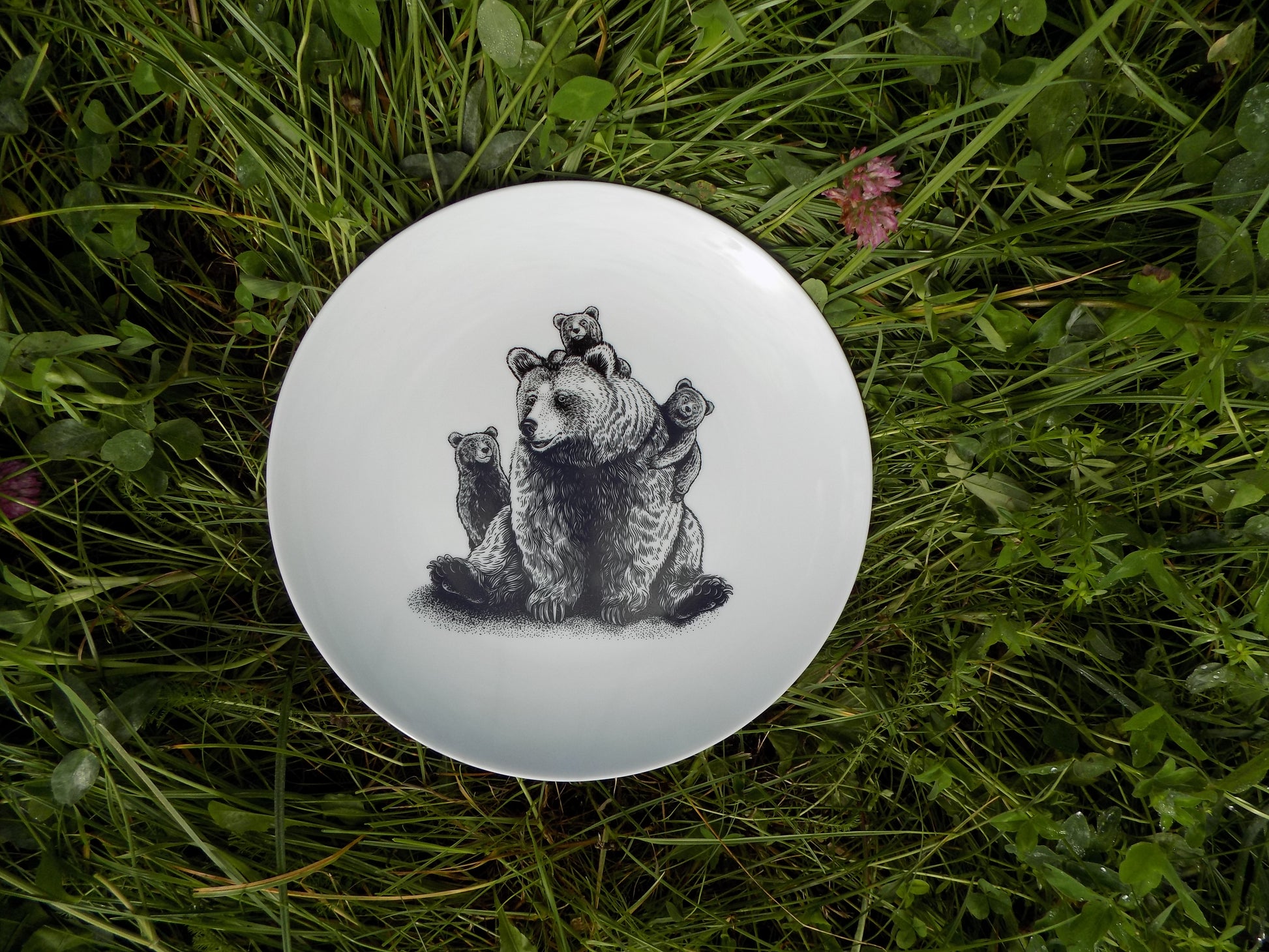 wyjątkowy talerz z misiami