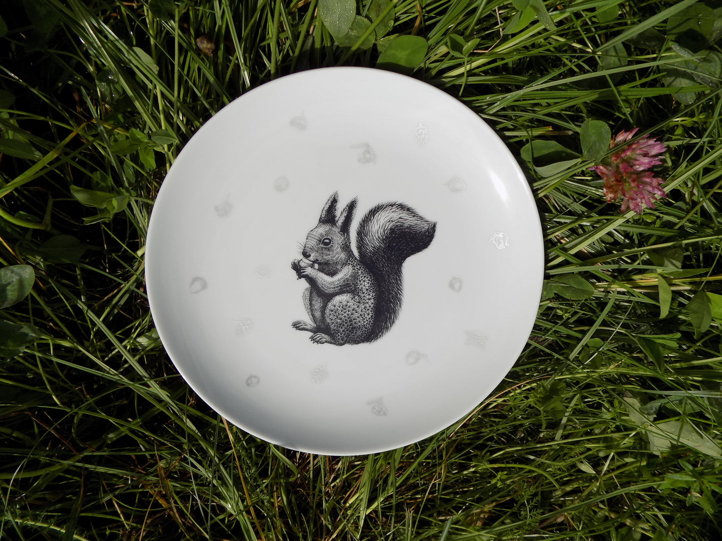 talerz porcelanowy z wiewiórką